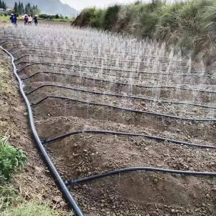 From cubicles to Crops